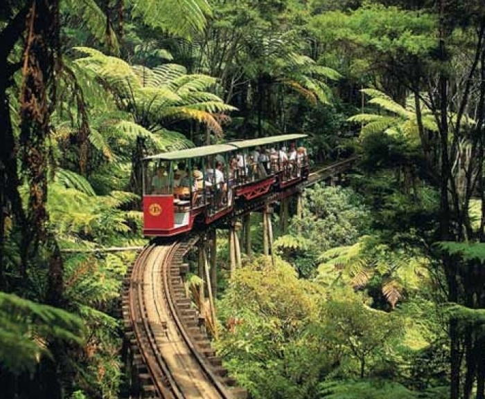 Toddler Falls Off Driving Creek Railway Train Gold FM
